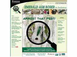 Arrest That Pest! - Emerald Ash Borer in Indiana