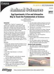 Egg Experiments: A Fun and Informative Way To Teach The Fundamentals Of Science