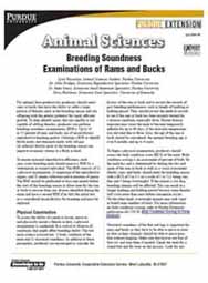 Breeding Soundness Examinations of Rams and Bucks