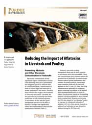 Reducing the Impact of Aflatoxins in Livestock and Poultry