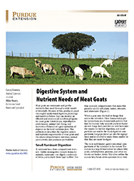 Digestive System and Nutrient Needs of Meat Goats
