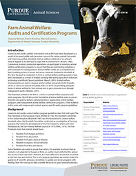 Farm Animal Welfare: Audits and Certification Programs