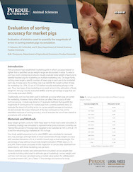 Evaluation of sorting accuracy for market pigs: evaluating statistics