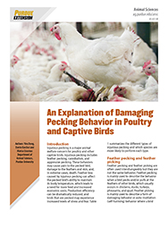 An Explanation of Damaging Pecking Behavior in Poultry and Captive Birds