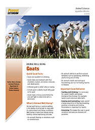 Animal Well-Being: Goats