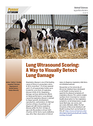 Lung Ultrasound Scoring: A Way to Visually Detect Lung Damage