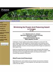 Minimizing the Prussic Acid Poisoning Hazard in Forages