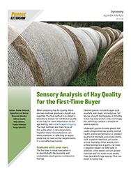 Sensory Analysis of Hay Quality for First- Time Buyer