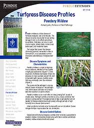 Turfgrass Disease Profiles: Powdery Mildew