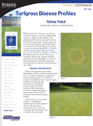 Turfgrass Disease Profiles: Yellow Patch