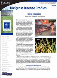 Turfgrass Disease Profiles: Smut Diseases