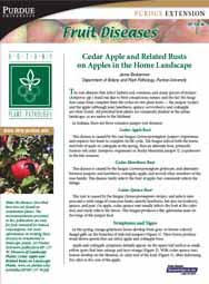 Fruit Diseases: Cedar Apple and Related Rusts on Apples in the Home Landscape