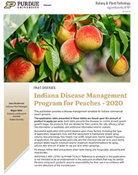 Indiana Disease Management Program for Peaches