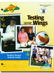Poultry 2: Testing Your Wings