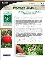 Vegetable Diseases: Late Blight of Tomato and Potato