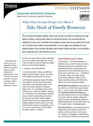 When Your Income Drops: Take Stock of Family Resources