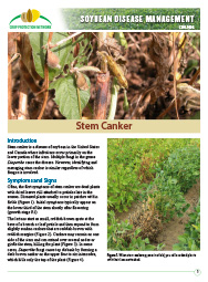 Soybean Disease Management: Stem Canker