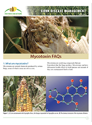 Corn Disease Management: Mycotoxin FAQs
