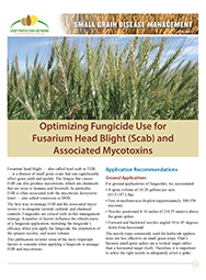 Small Grain Disease Management: Optimizing Fungicide Use for Fusarium Head Blight (Scab) and Associated Mycotoxins