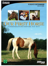 Our First Horse:  Considerations Before You Buy