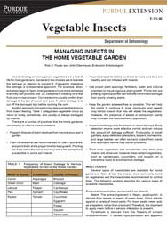 Managing Insects in the Home Vegetable Garden