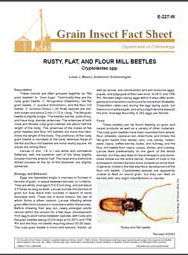 Rusty, Flat, and Flour Mill Beetles