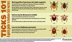 Ticks 101: A Quick Start Guide to Indiana Tick Vectors