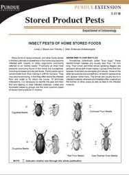 Insect Pests of Home Stored Foods