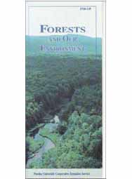 Forests and Our Environment
