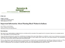 Important Information About Planting Black Walnut In Indiana