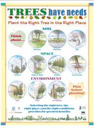 Trees Have Needs: Plant the Right Tree in the Right Place (English)