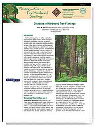 Diseases in Hardwood Tree Plantings