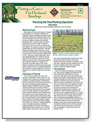 Planning the Tree Planting Operation