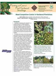 Weed Competition Control in Hardwood Plantations