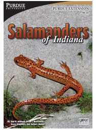 Salamanders of Indiana book