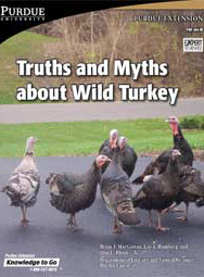 Truths and Myths about Wild Turkey