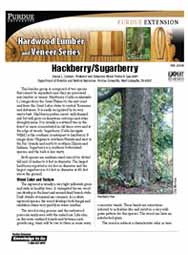 Hackberry/Sugarberry