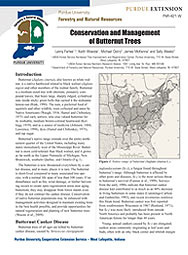 Conservation and Management of Butternut Trees