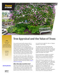 Tree Appraisal and the Value of Trees