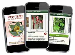 Fifty Trees of the Midwest App for iPhone