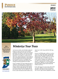 Winterize Your Trees