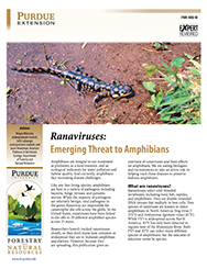 Ranavirus: Emerging Threat to Amphibians