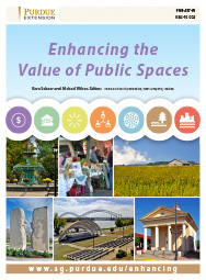Enhancing the Value of Public Spaces
