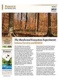 The Hardwood Ecosystem Experiment: Indiana Forestry and Wildlife
