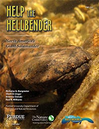 Help the Hellbender, North America's Giant Salamander