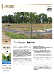 Tree Support Systems