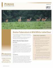 Bovine Tuberculosis in Wild White-tailed Deer