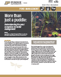 More than just a puddle: Understanding the pond ecosystem for better management