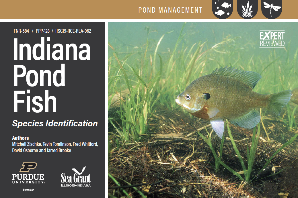 Indiana Pond Fish, Species Identification Card Set