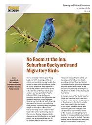 No Room at the Inn: Suburban Backyards and Migratory Birds